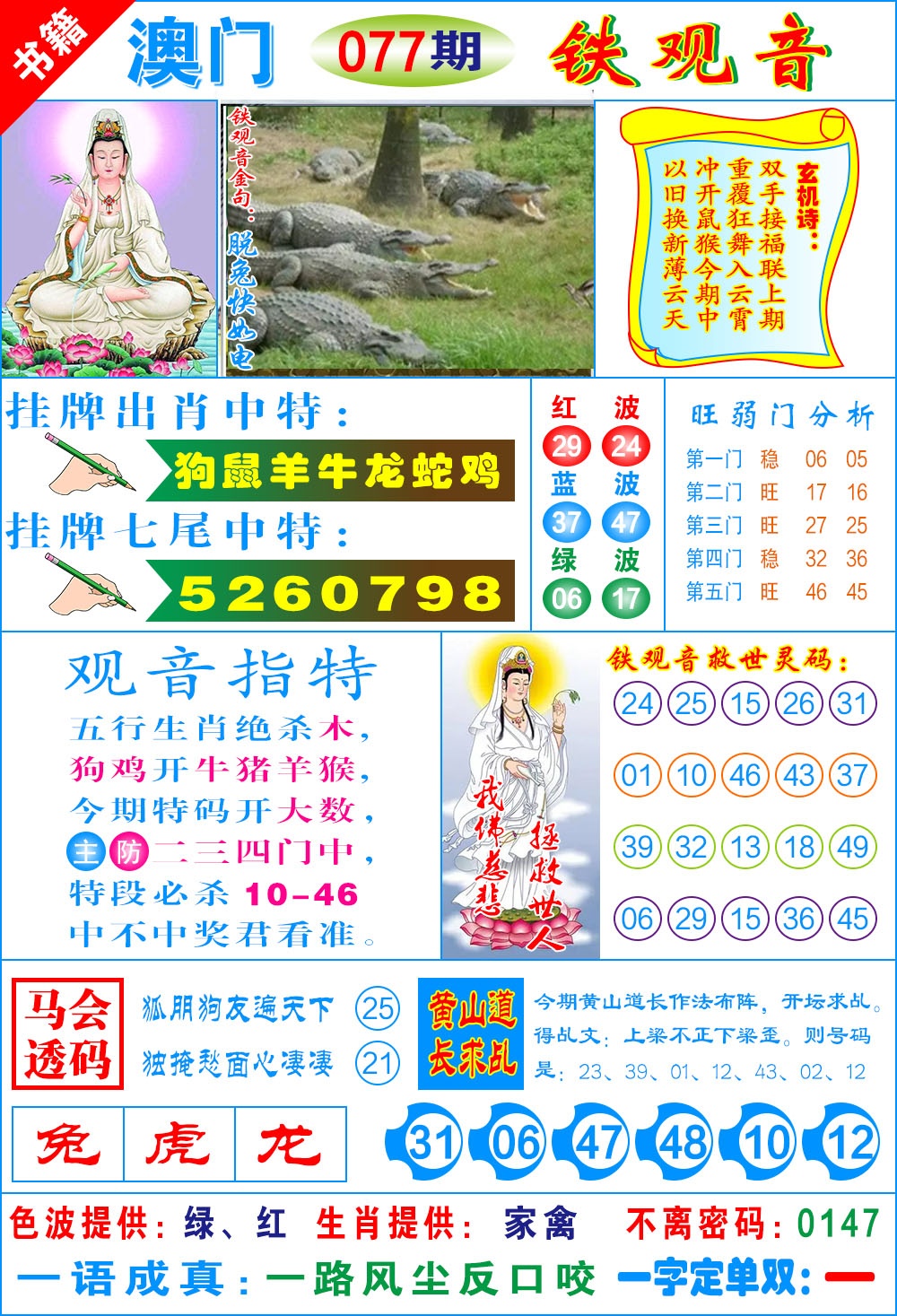 077期澳门铁观音[图]